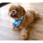 BANDANA - OCEAN BLUE