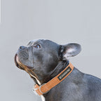Organic Hemp & Cotton Dog Collar - Orange Burst