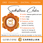 Chakra & Cherry Amber Child Anklet