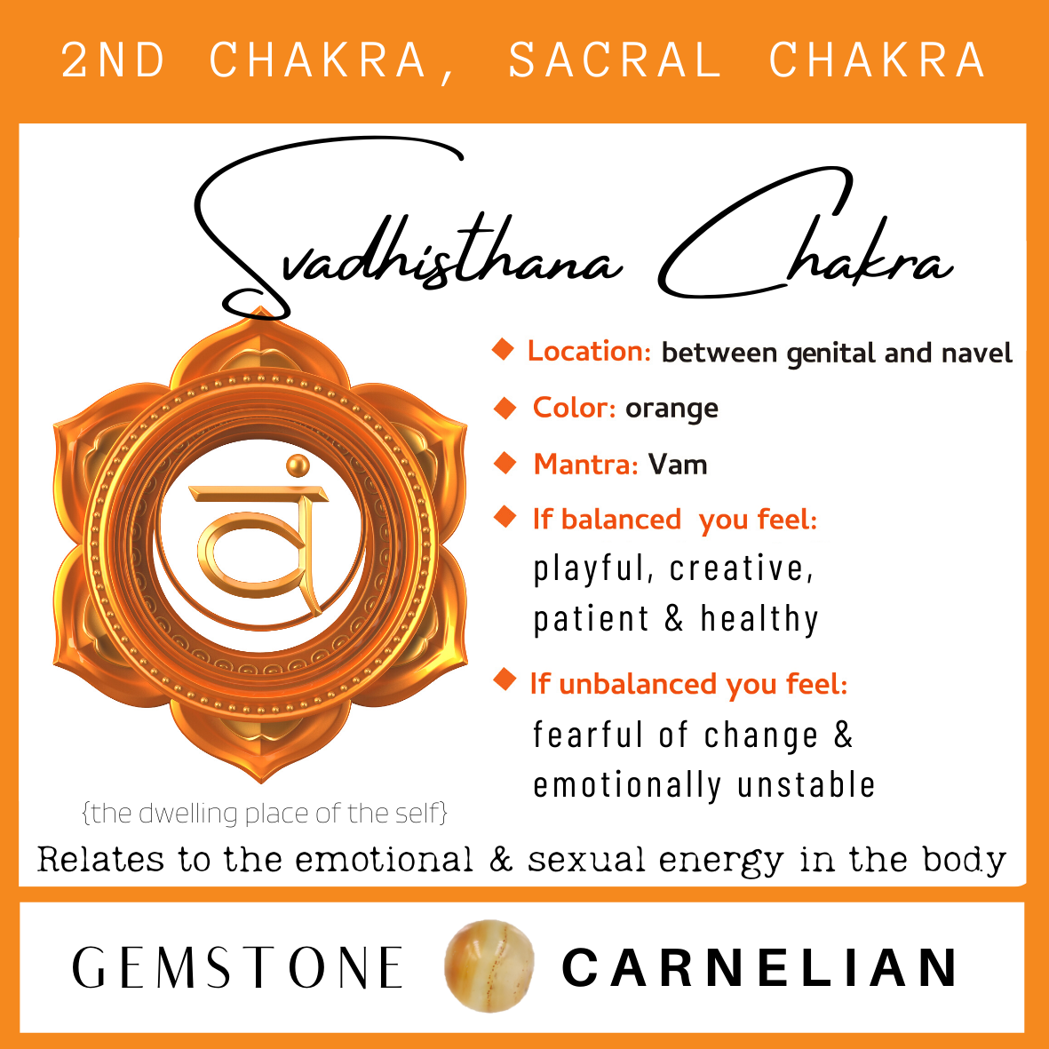 Chakra & Cherry Amber Adult Necklace