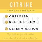 Sagittarius Adult Bracelet