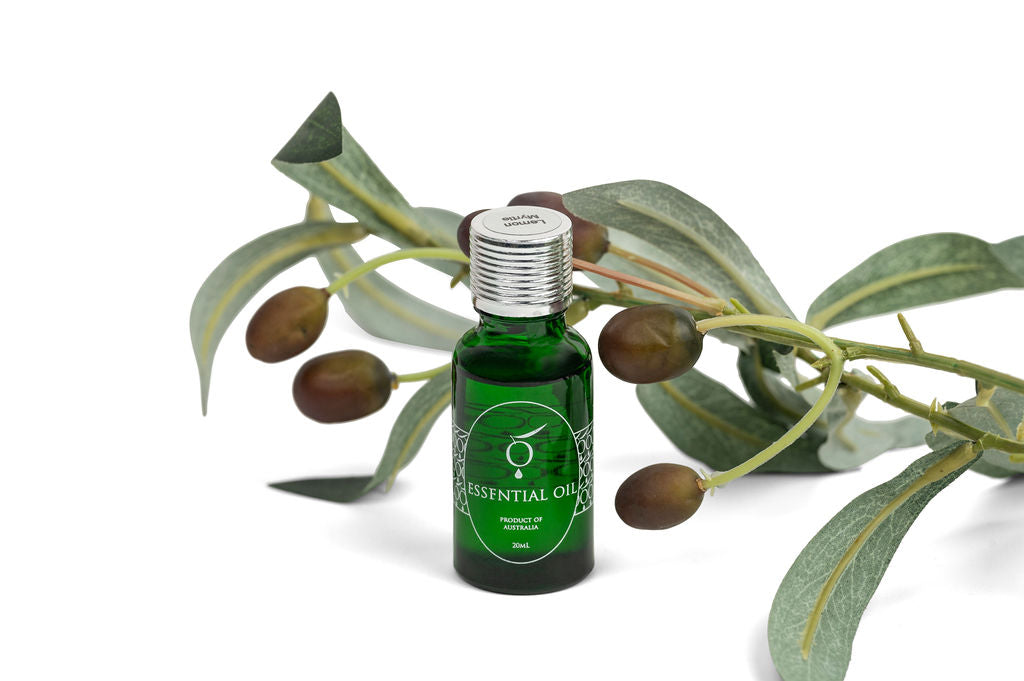 Essential Oil, Lemon Myrtle , 20ml