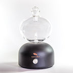 🧒 Kids Ritual Bundle | Gentle Essential Oils & Oscar High Diffuser