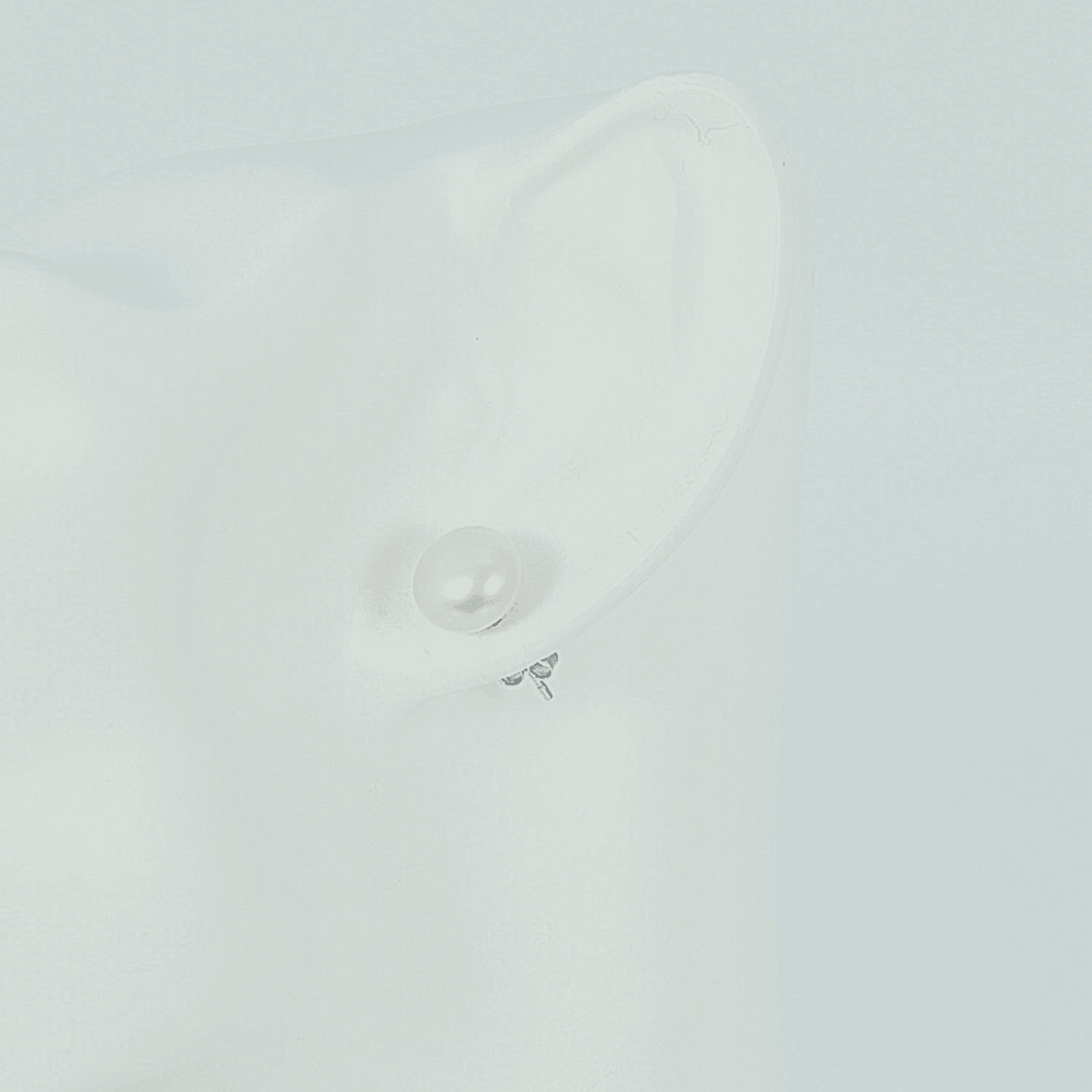 Freshwater White Pearls Esperance Earrings 8-9 mm AAA