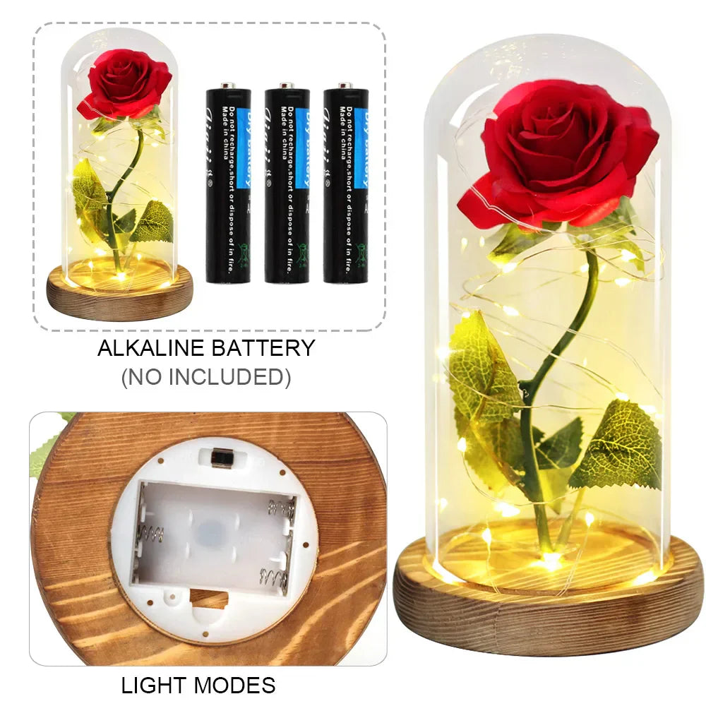 Beauty and the Beast Eternal Rose in Glass