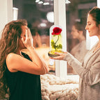 Beauty and the Beast Eternal Rose in Glass