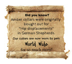 Small Dog Cherry Amber & Red Sea Coral Collar